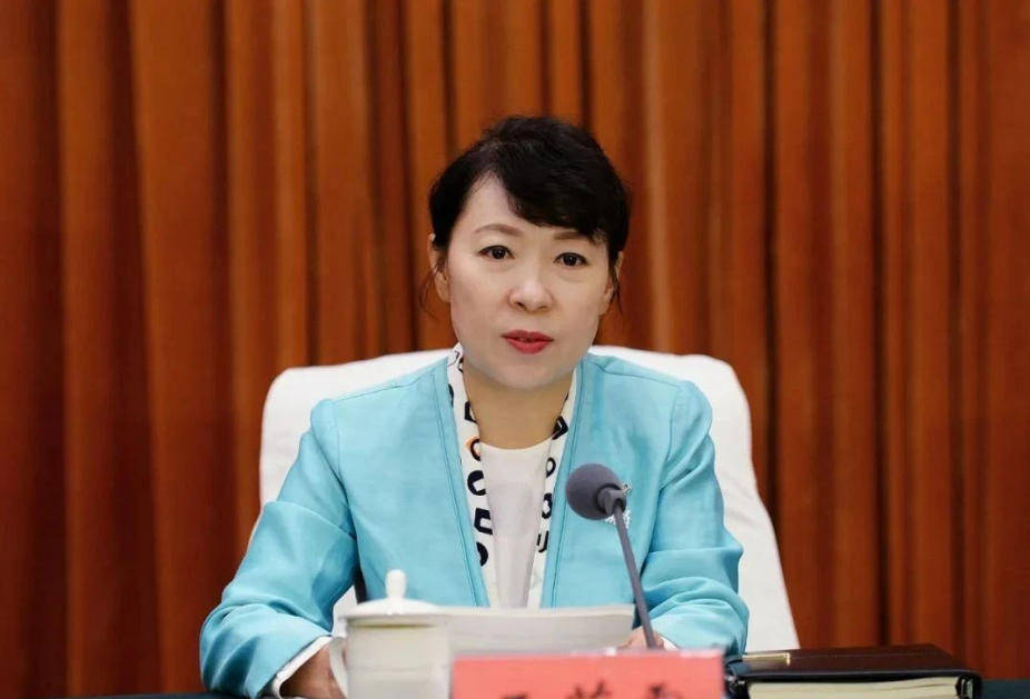 AC米兰vs克雷莫内塞
_“换装主席”王莉霞的堕落：从光鲜人设到腐败深渊