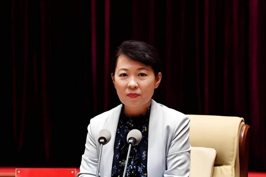 AC米兰vs克雷莫内塞
_“换装主席”王莉霞的堕落：从光鲜人设到腐败深渊