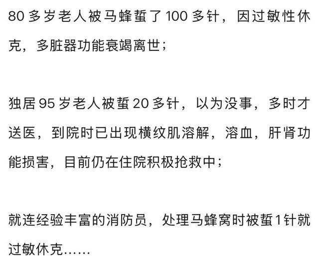 荷兰乙组联赛_别招惹!广东一老人中招荷兰乙组联赛,不幸去世