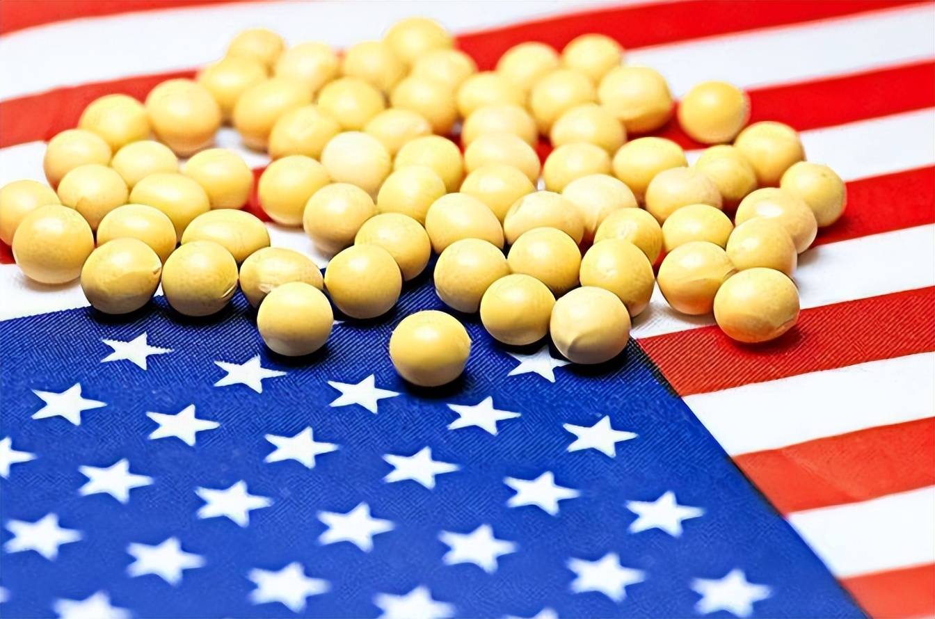 皇冠信用盘代理_中国与阿根廷达成协议皇冠信用盘代理,短短两天内采购了130万吨,这正是给特朗普的答案!