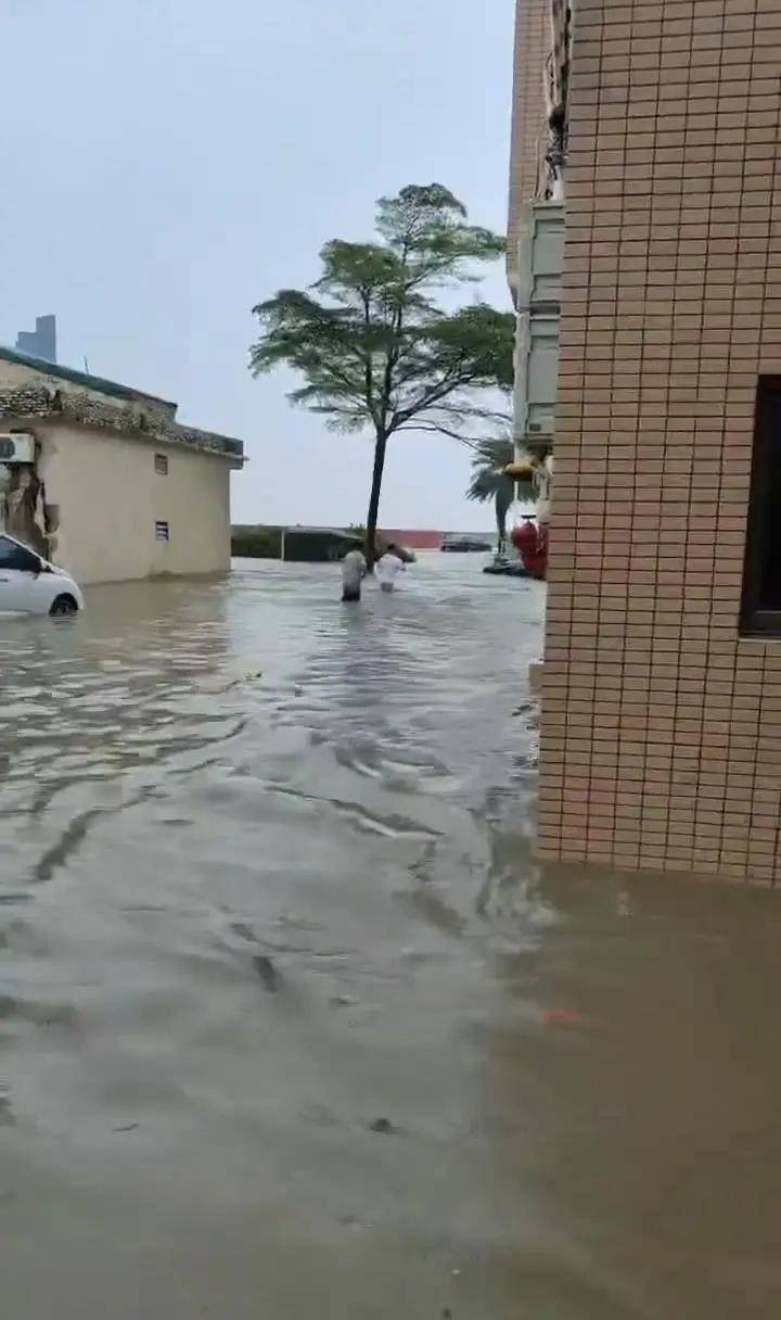 皇冠信用网登3代理_广东阳江一小镇遭海水倒灌皇冠信用网登3代理，小区被淹一片汪洋，当地：天文大潮叠加台风“麦德姆”所致