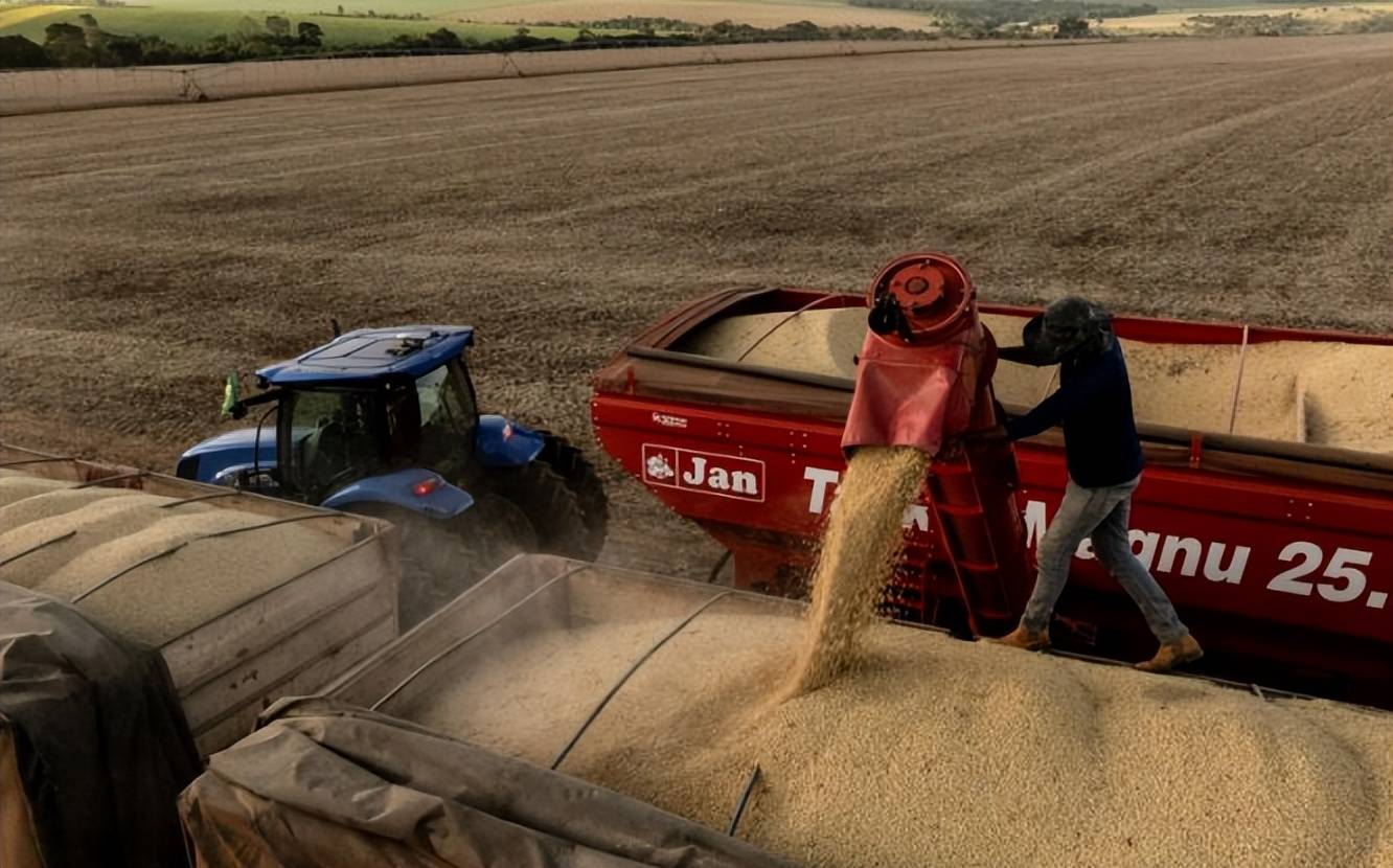 皇冠信用网
_美国大豆比巴西豆贵还加税皇冠信用网
,中国采购停滞不是违约,市场规律才是关键?