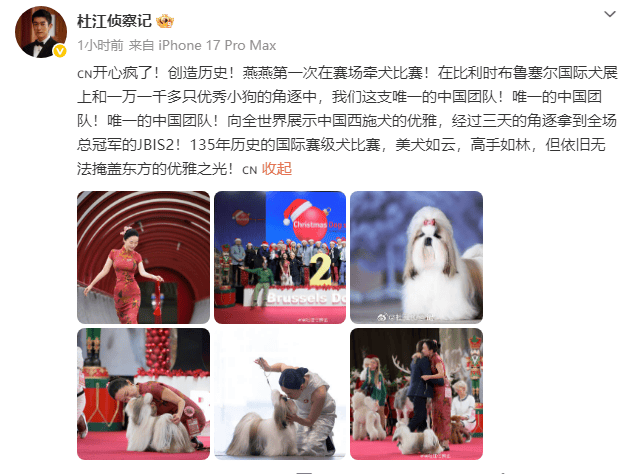 皇冠信用网去哪里弄_杜江恭喜妻子霍思燕参加国际犬展比赛夺冠:开心疯了皇冠信用网去哪里弄!创造历史!