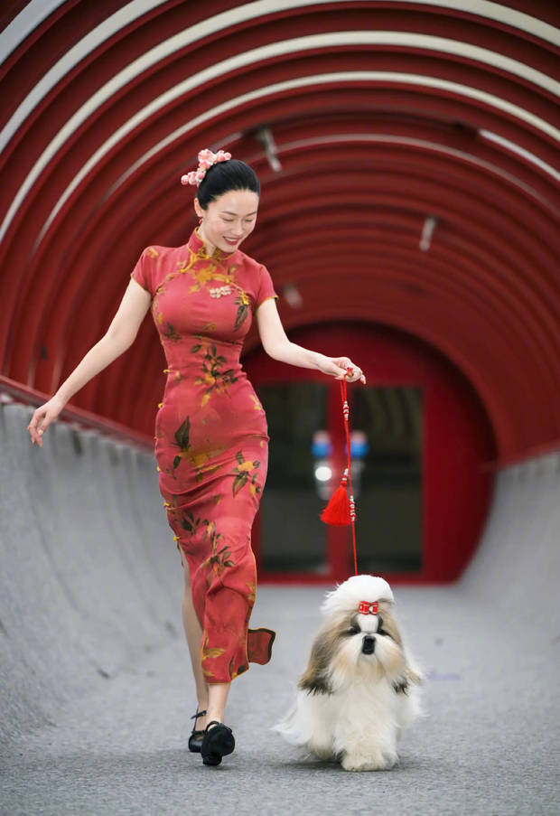 皇冠信用网去哪里弄_杜江恭喜妻子霍思燕参加国际犬展比赛夺冠:开心疯了皇冠信用网去哪里弄!创造历史!