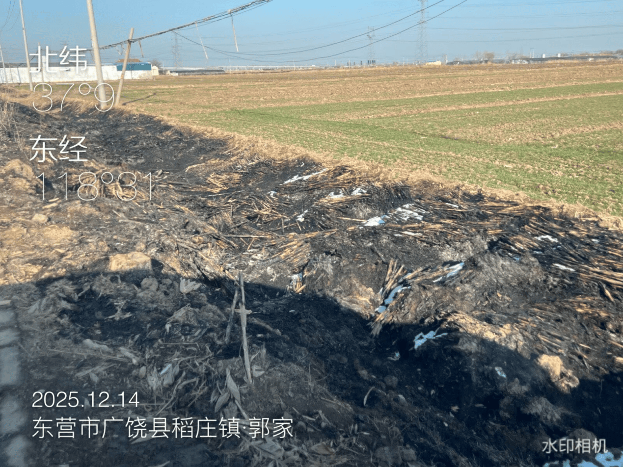 皇冠信用网代理登1_广饶县：农村人居环境亟待提升