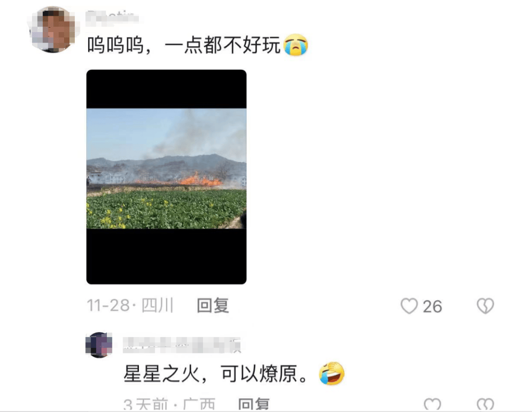 网上买球怎么买_柳州俩人竟在绿化带里“窑鸡”网上买球怎么买，鸡还未入窑就......