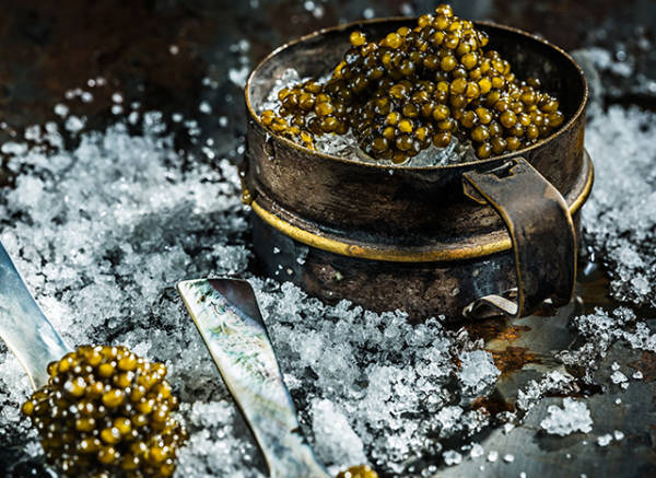 皇冠信用网会员注册网址_“在法国皇冠信用网会员注册网址，可以毫无顾虑地说，这些鱼子酱产自中国”