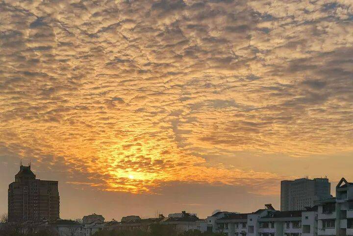 正版皇冠信用开户申请_浙江一地官宣即将入春正版皇冠信用开户申请!杭州气温也马上原地起飞…